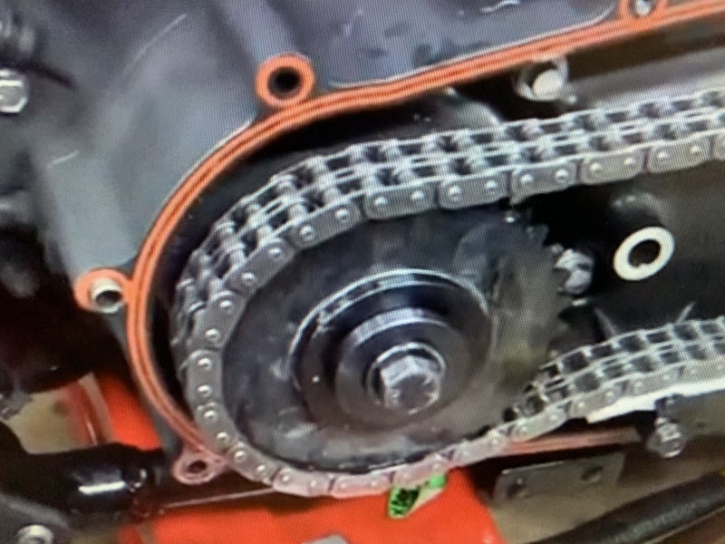 Harley Davidson twin cam springless BDL CS34A compensator sprocket